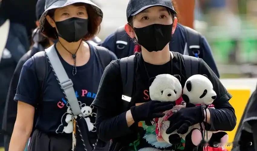 熊猫泪别引关注，2025中日关系冰火交织
 
17万日本民众排队4小时送别晓晓蕾