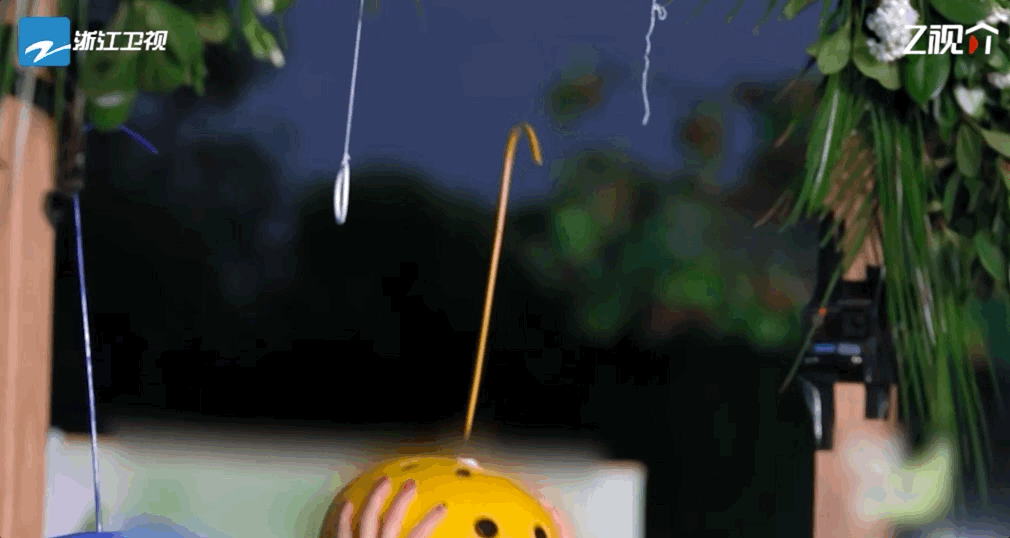 #宋雨琦Lucky属性爆发# 幸运程度拉满~在最新一期《奔跑吧·生态篇》游戏环节