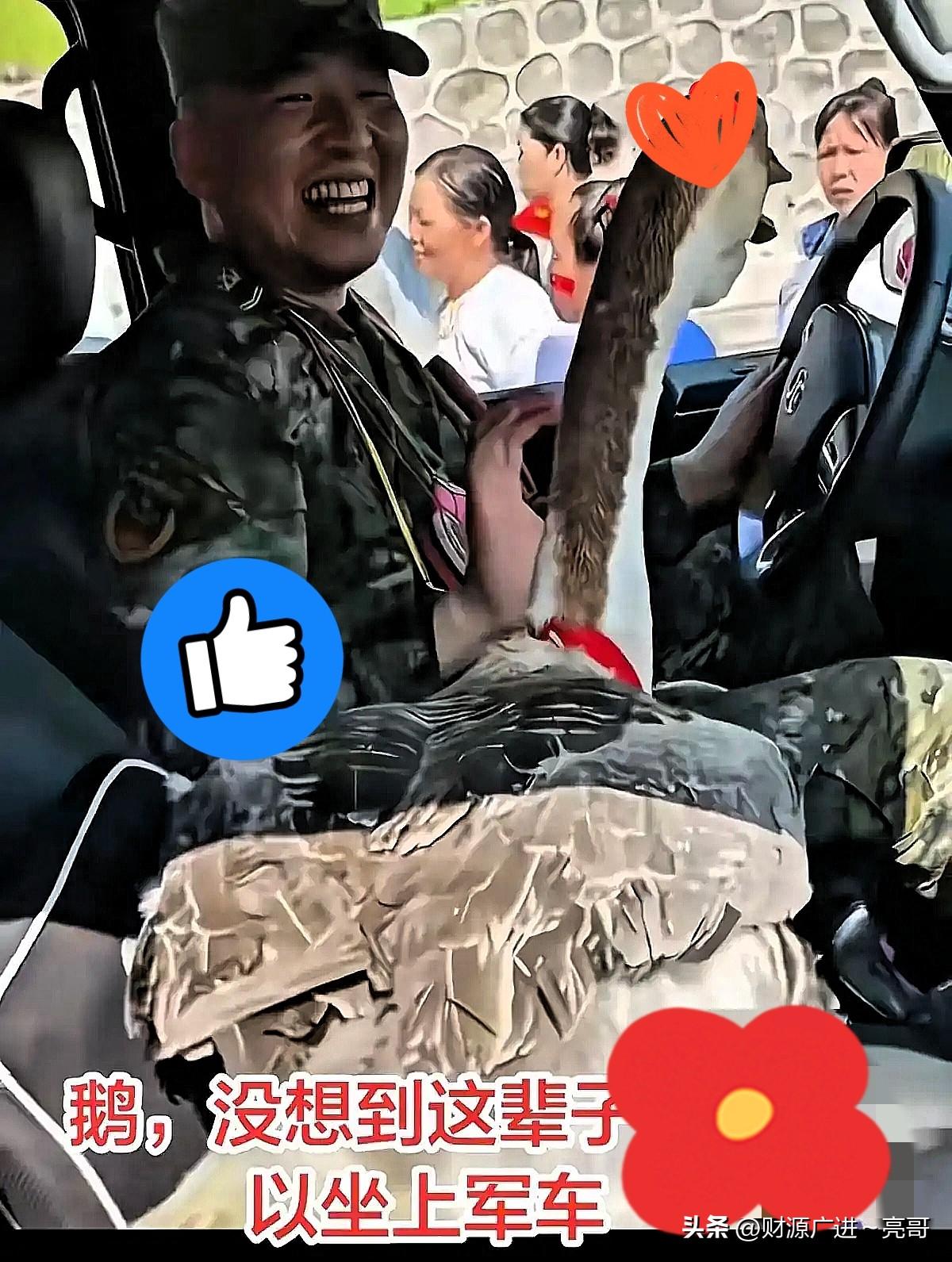 洪水刚退贵港街头！阿婆硬塞肥鹅送别兵哥？

洪水刚退的贵港，风里还裹着淡淡的泥腥