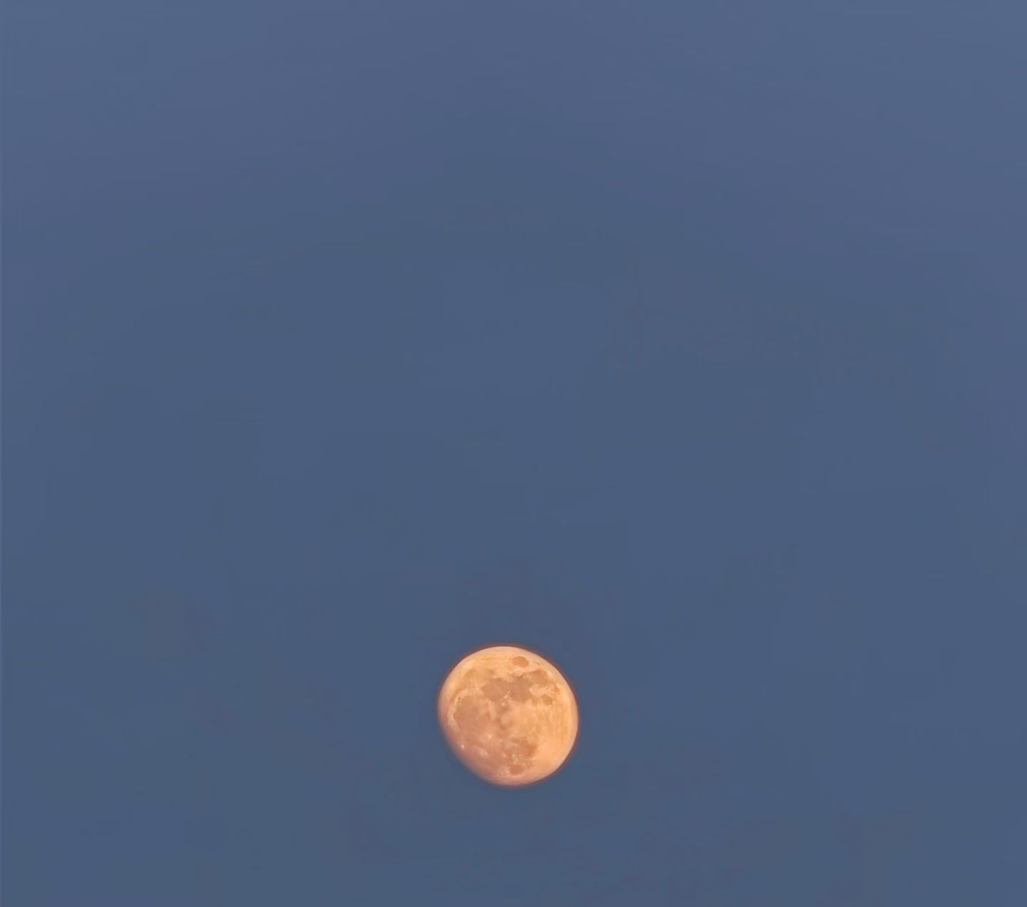 月亮🌙 