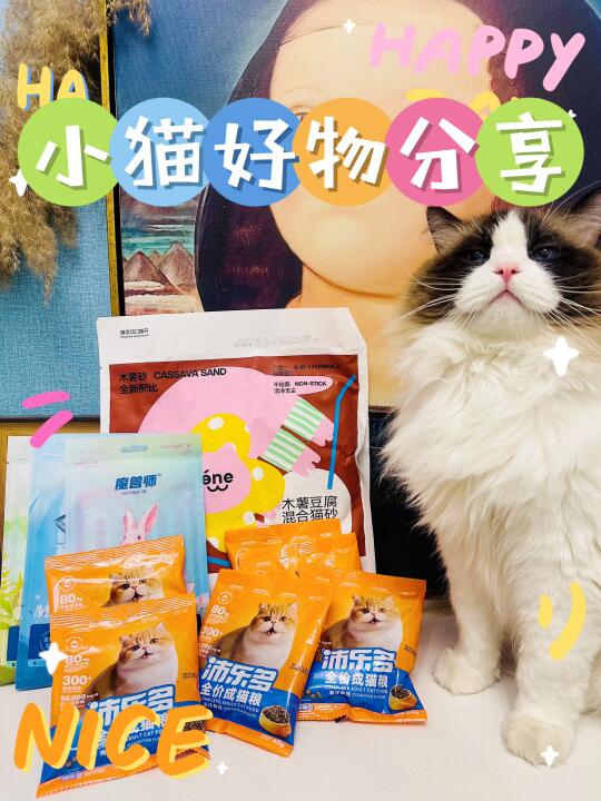 OMG！买它买它！