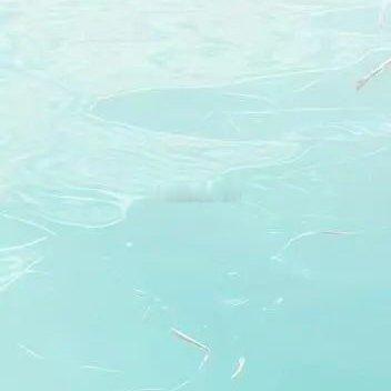 每日一善 激励自己的不是心灵鸡汤励志语录，而是那些比自己优秀的人还在努力。所以请