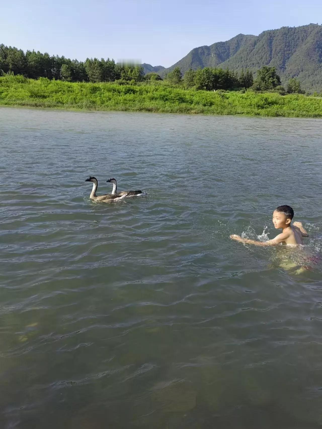 农村的夏天

是屋旁挂满瓜果的菜园

是稻田里随风轻晃的稻穗

是架上垂着的青黄