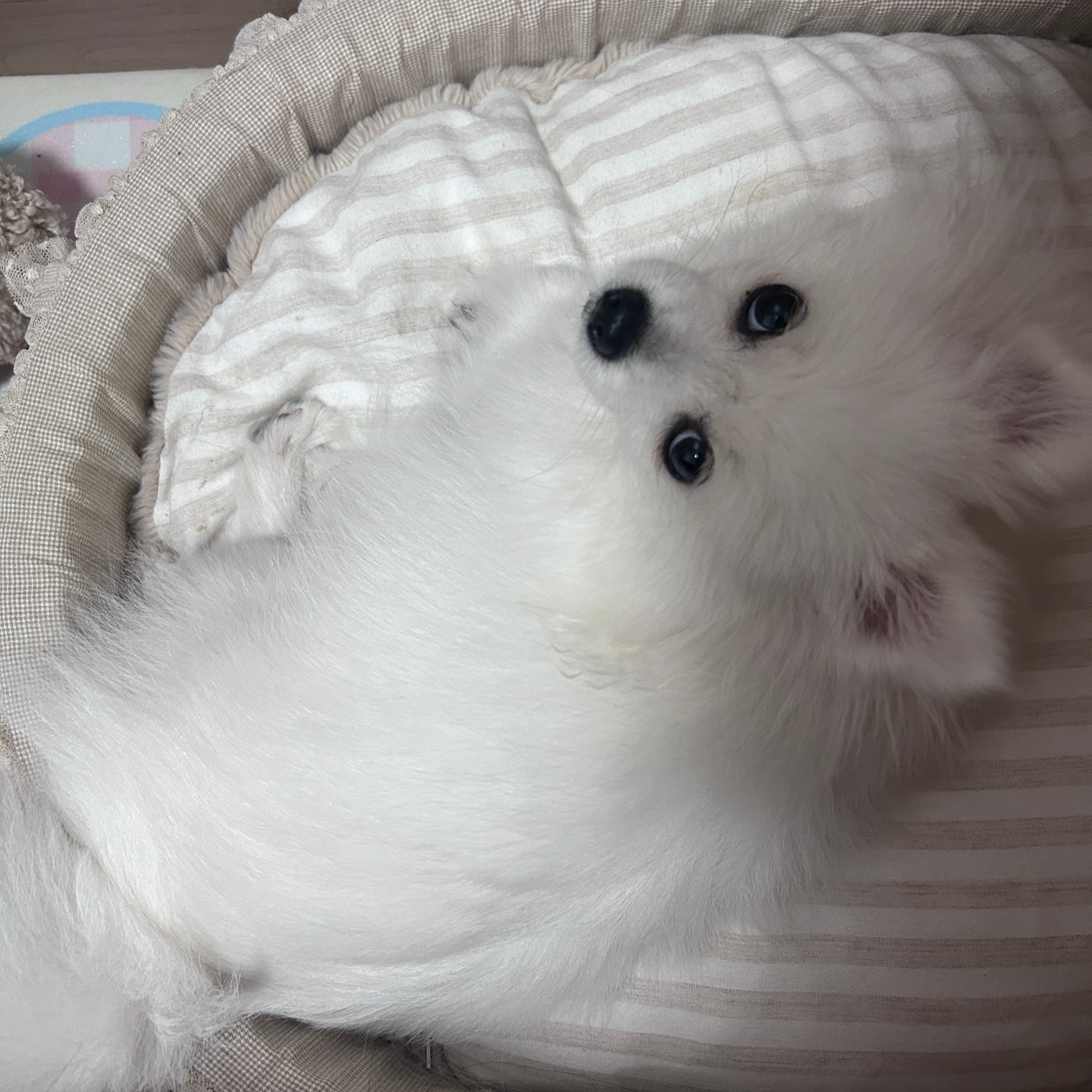 我宝宝 ​​​