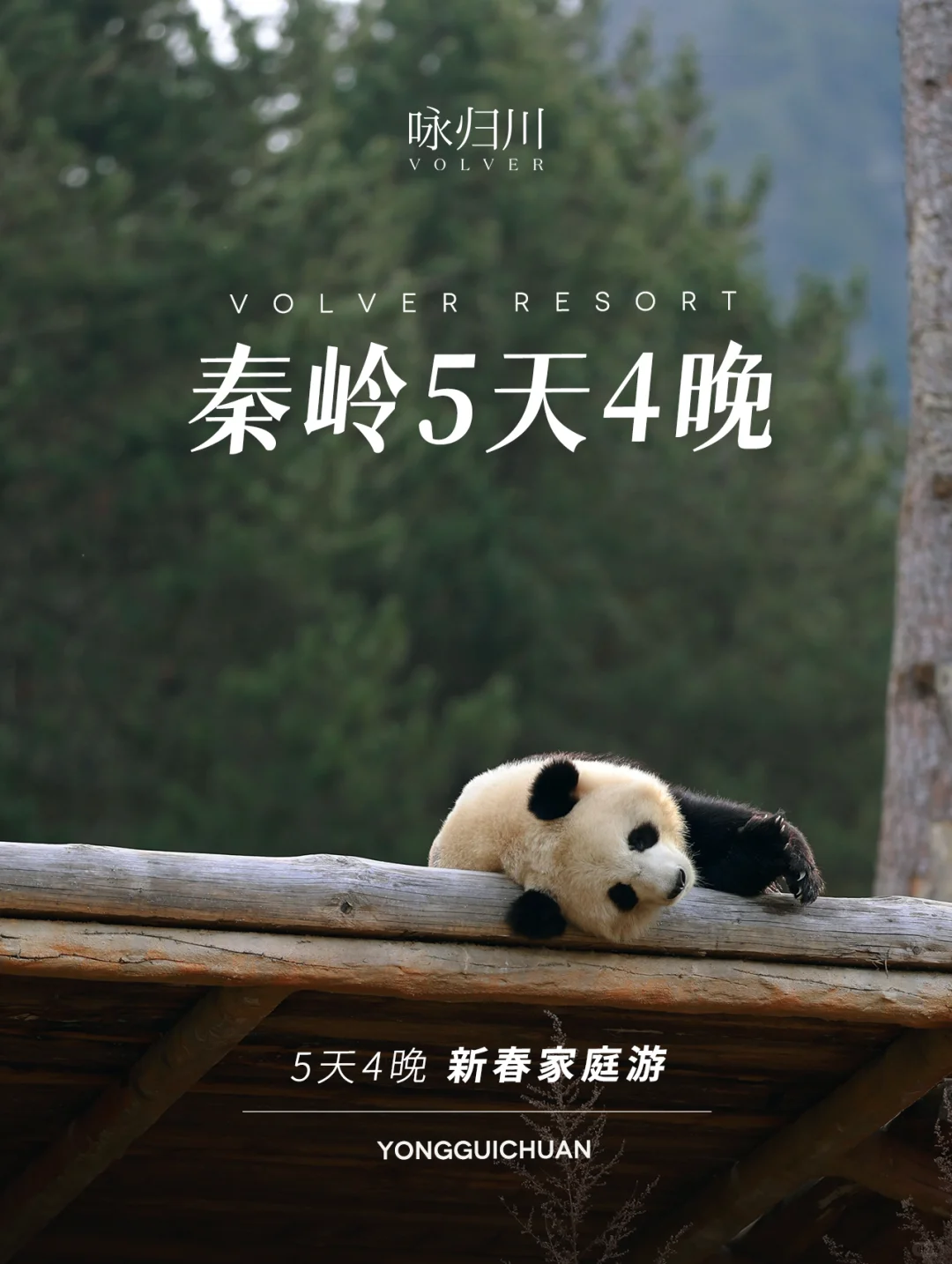 秦岭5天4晚新春家庭游🐼一价全包不费妈