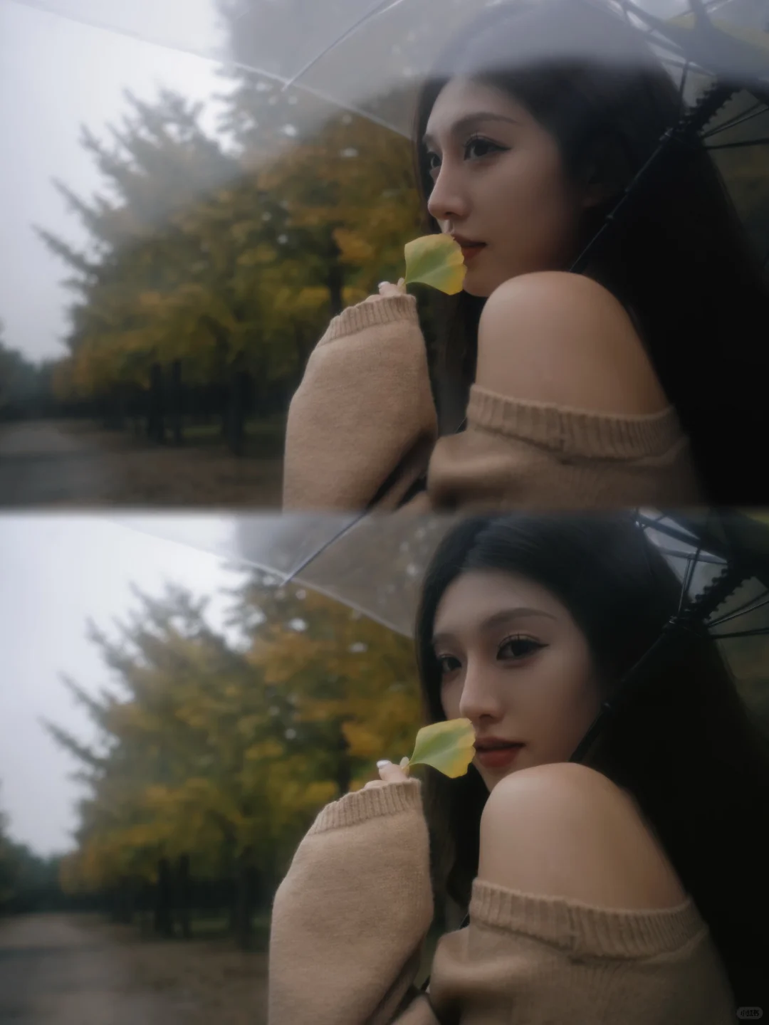 🍂那就把都喜欢的放在首图吧