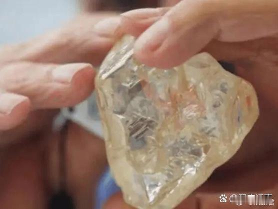 女子23万买石头相信外国王子会收购。网友：与艺术品投资一个套路，这都几十年了，依