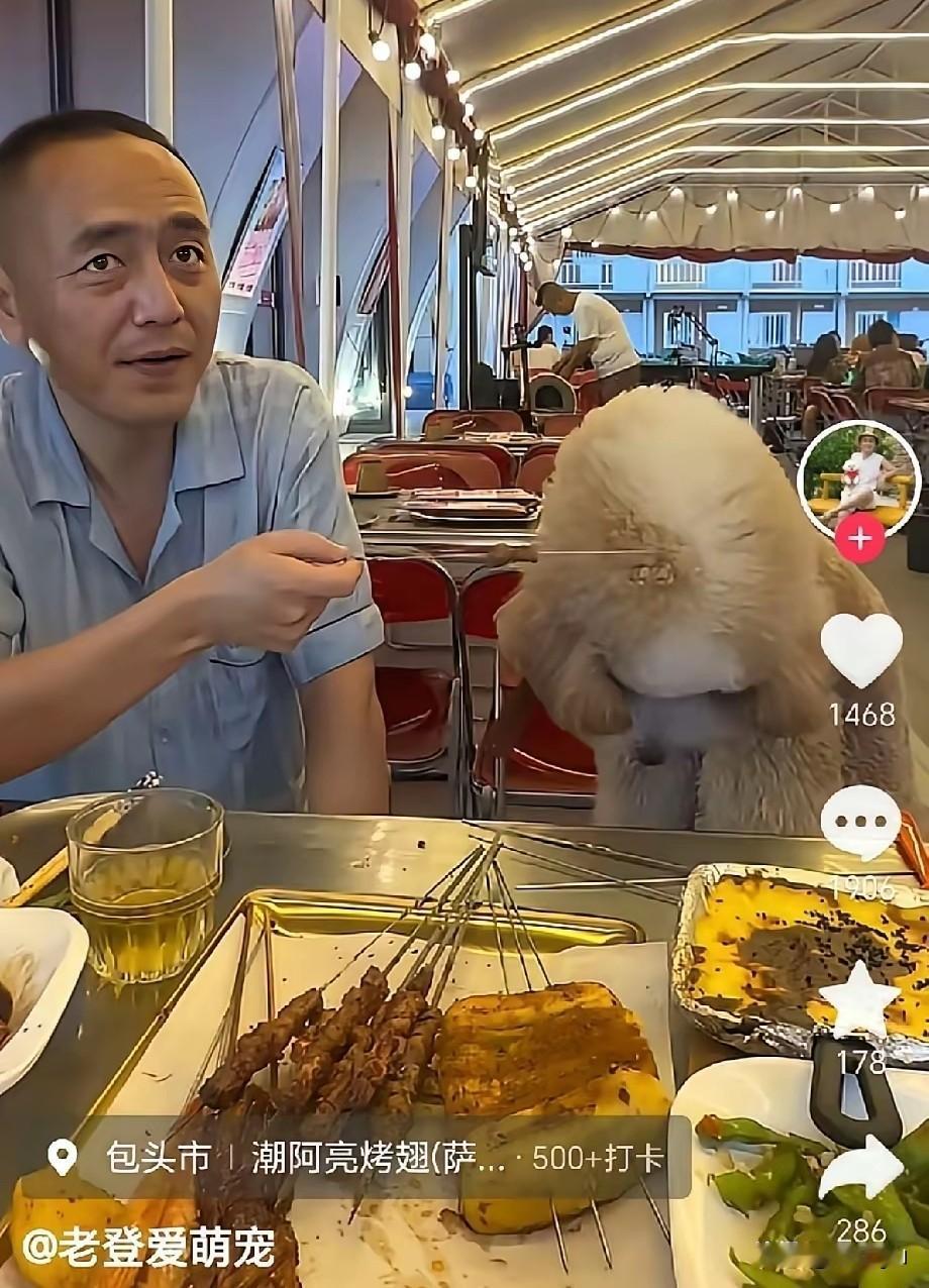 这人也不像智商有问题呀，人模人样的。怎么在烤肉店里给自己的狗撸上串了？这穿串的铁