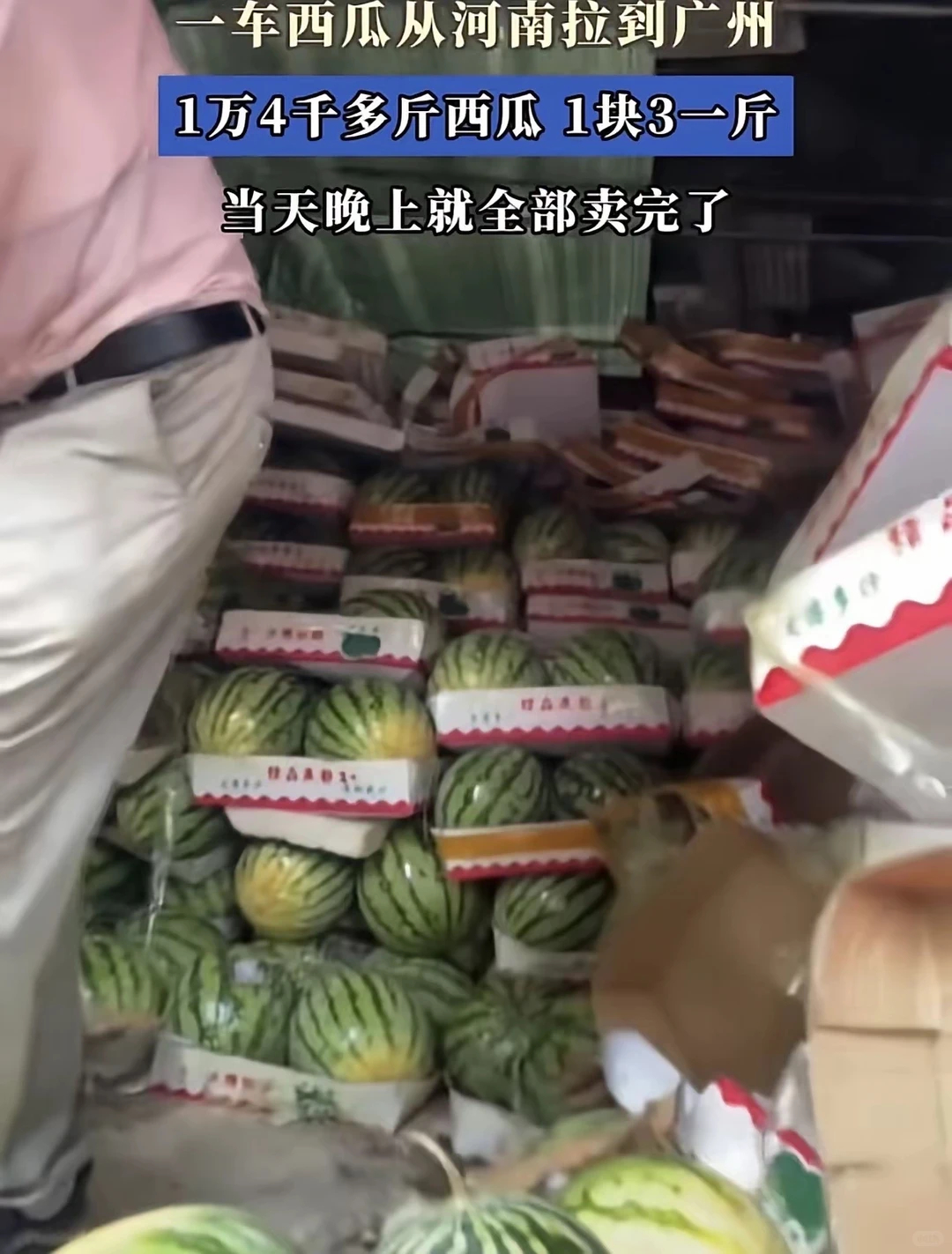 河南西瓜被拉到广东后卖爆了河南西瓜拉到广州，1块3，这一车是麒麟瓜，有一万四千斤