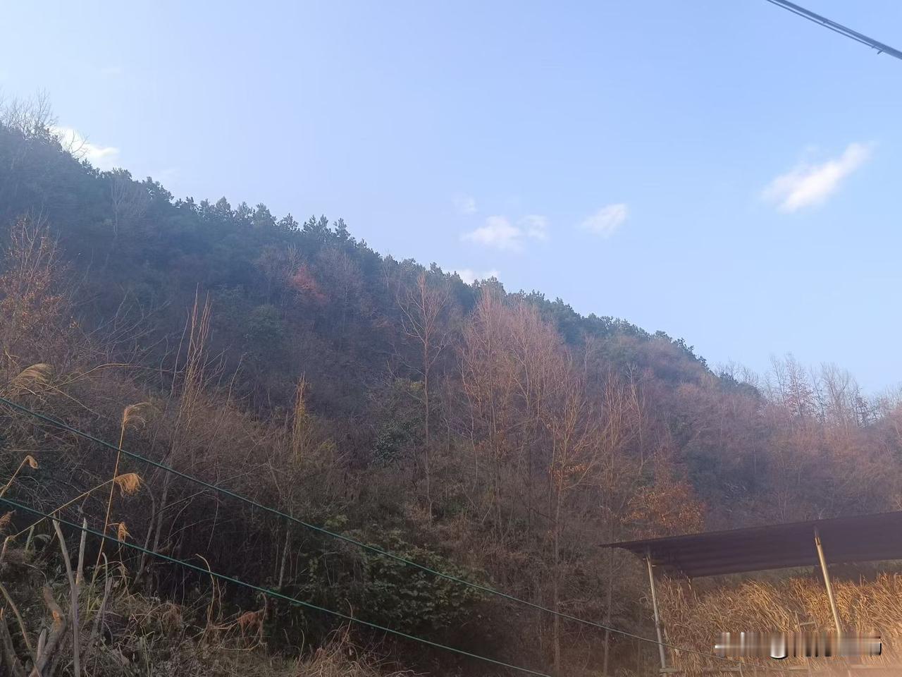 每次应聘工作或者是试讲时，报完自己年龄，毕业学校，所学专业，接下来​第一句话就是