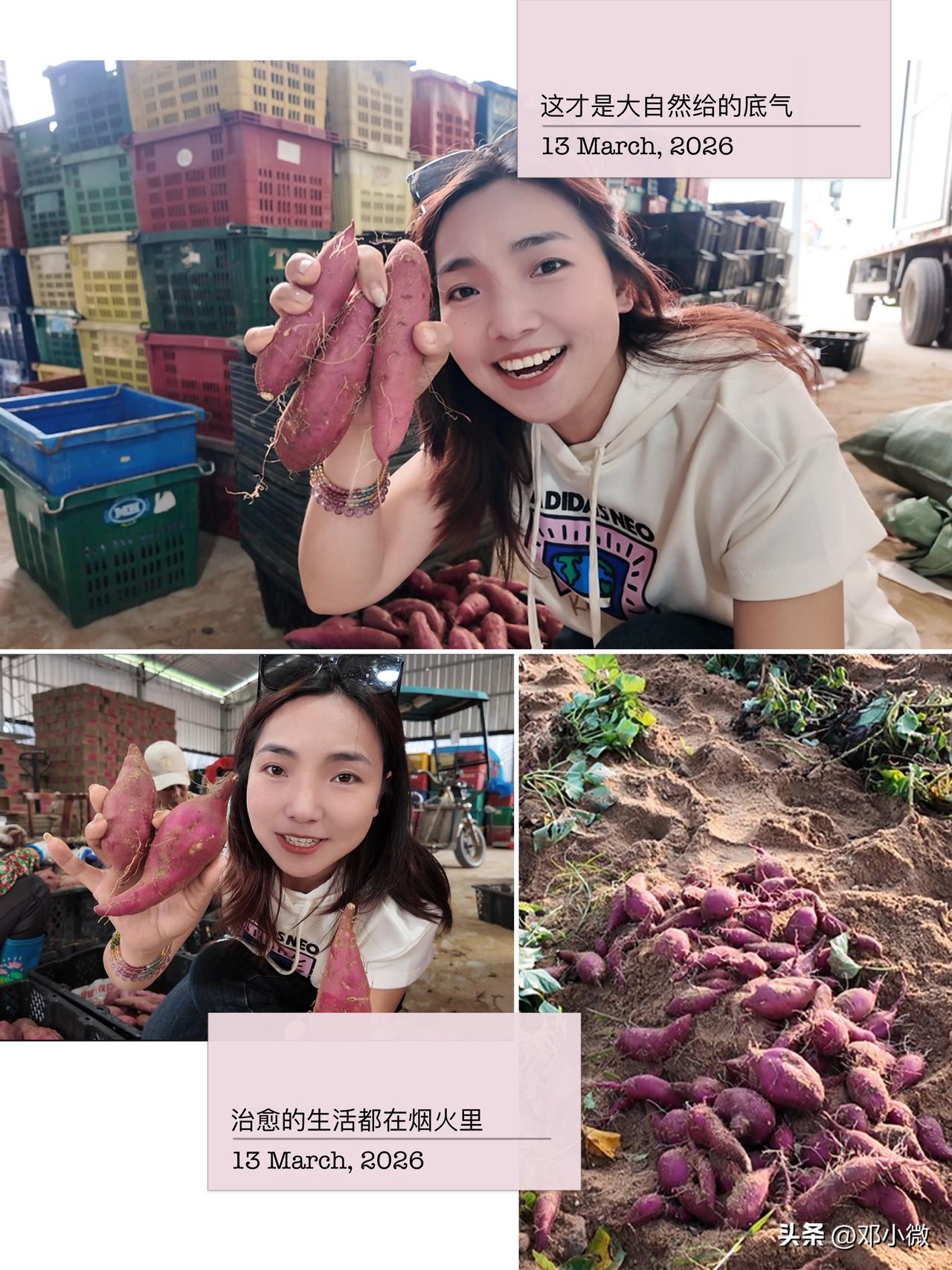 邓小微把日子过成围着红薯转的模样，没有喧嚣，只有泥土、阳光和真实。