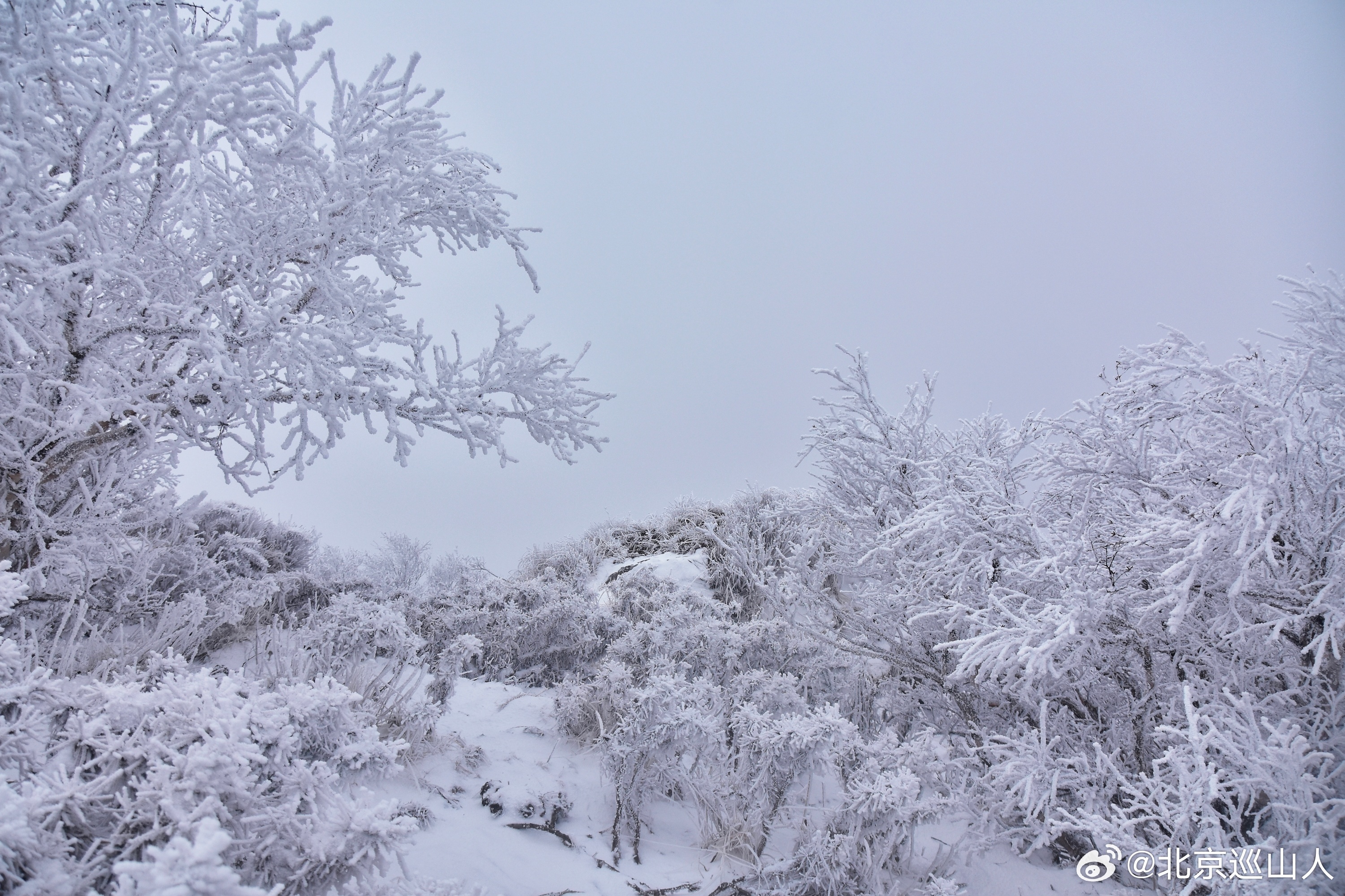 春雪，雾凇，云海。北京的山就是这么美！2026.2.28 北京最高峰东灵山实拍。