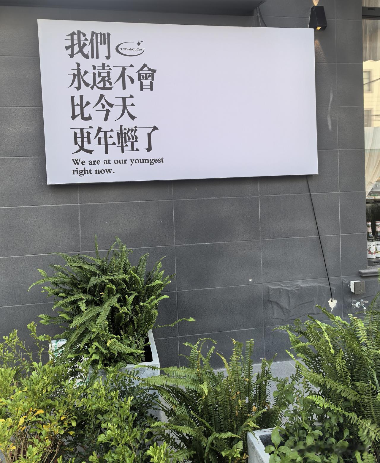 路过街边小店，一眼就被墙上那句话戳中：“我们永远不会比今天更年轻了。”短短一句，