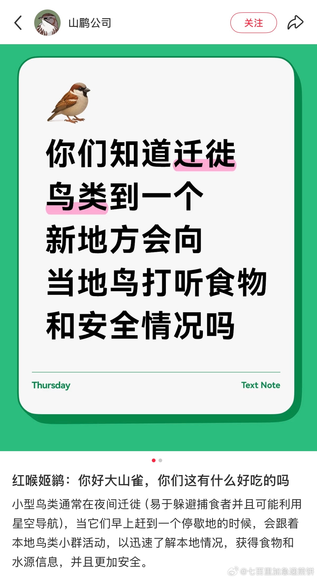 在🍠上看到小鸟的帖子，它们会相互打听诶！太可爱了 ​​​