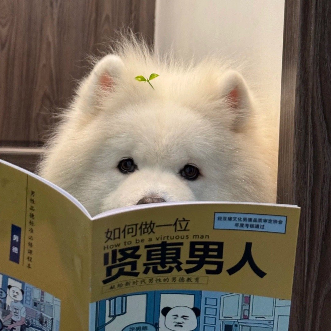 日常的路人a  笑死，两个零零后留子还在关心学校烧了没要不要上课。他70后的干爹
