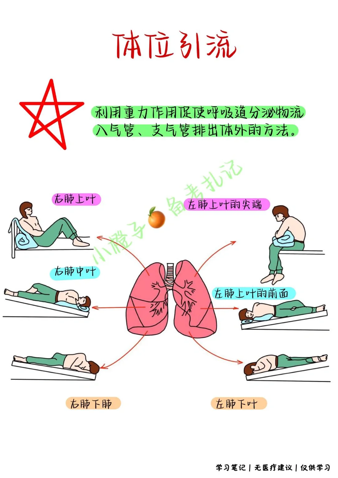 📖学习笔记｜体位引流｜部位｜注意事项✅
