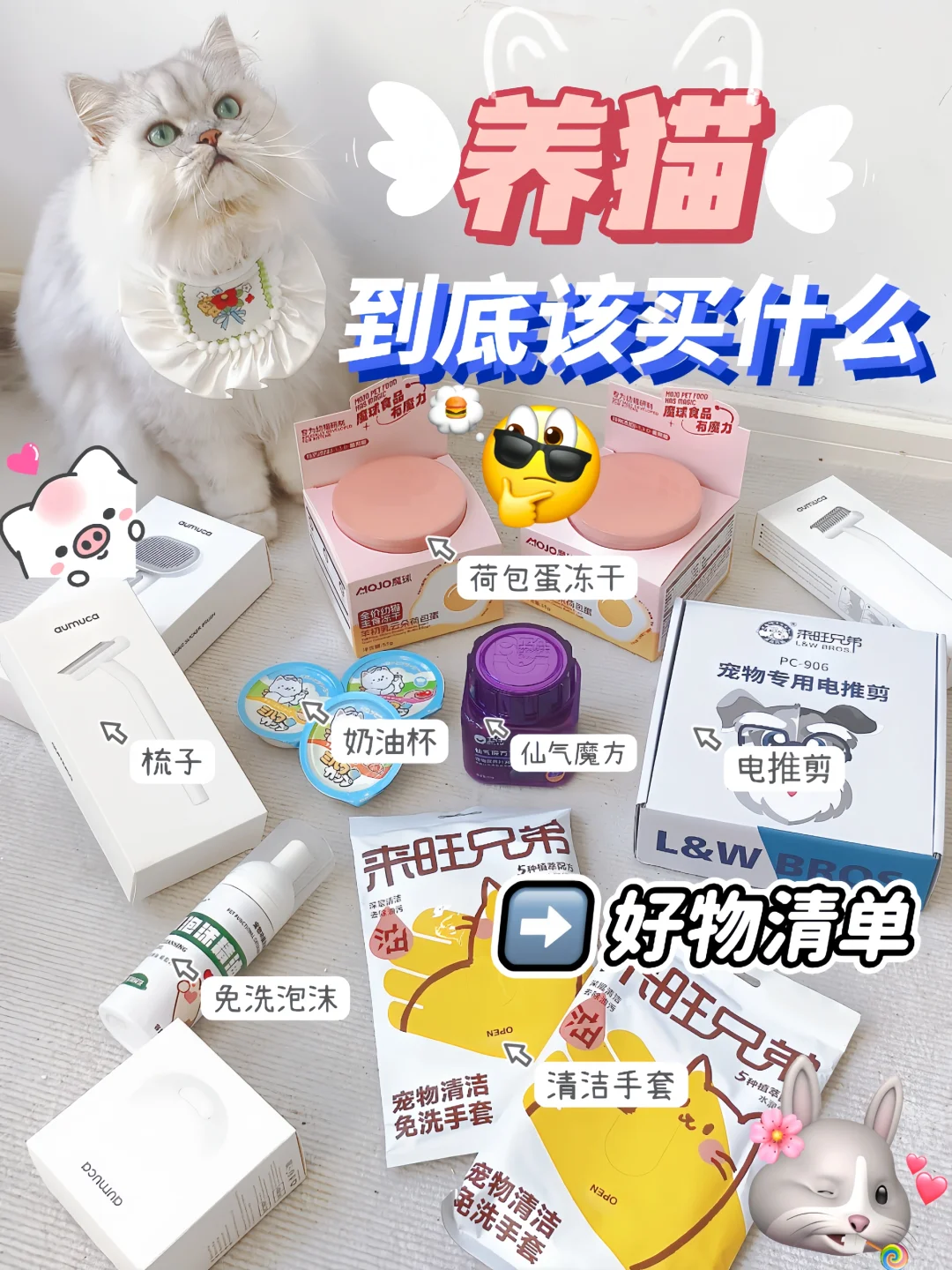 ฅ⁺ ⁎˚ ഒ小猫备忘录丨养猫好物分享