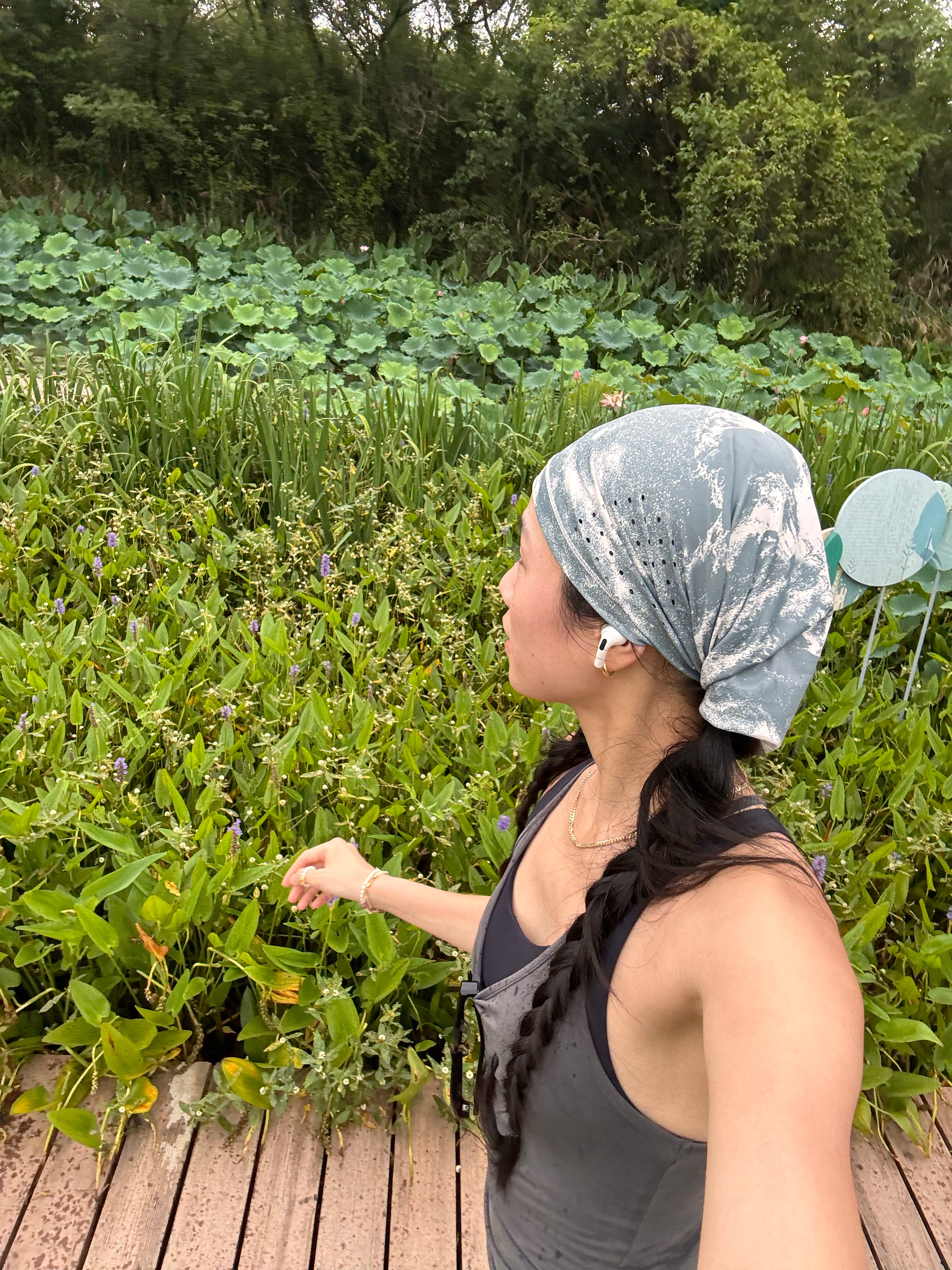 吸氧吧🌳 