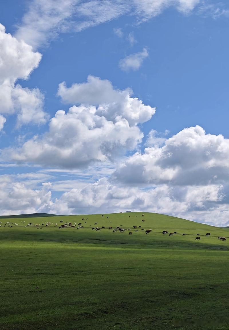 广袤草原，牛羊成群，蓝天白云，心旷神怡。