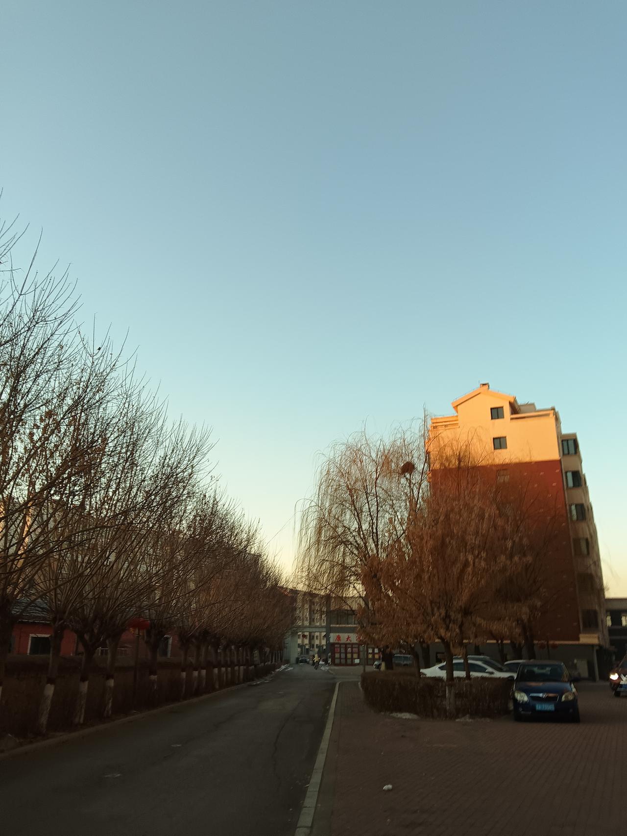 冬日暖阳下的静谧街道，落叶飘零，暖意融融。