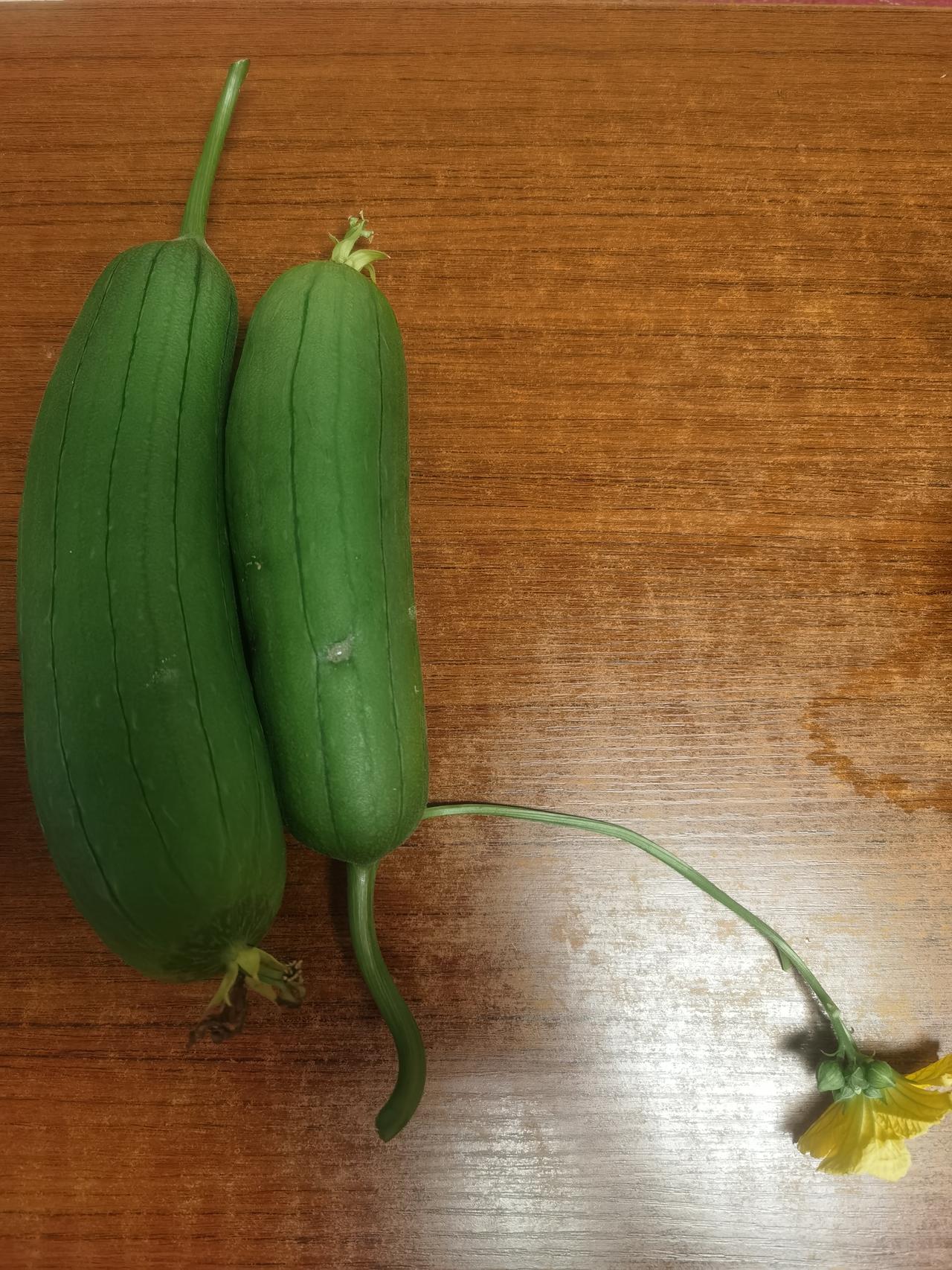 德才兼备！
德于公平公正，不循私舞弊。
才能驾驭卷题，透知所以然。
唯有德才兼备