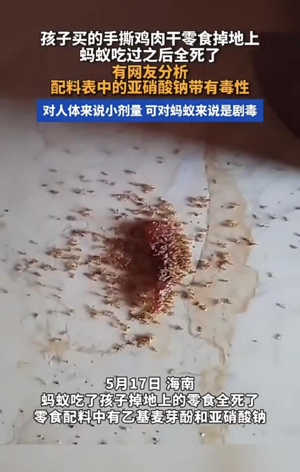 揪心！儿童手撕肉干掉地上蚂蚁误食全死，亚硝酸钠真有这么毒？
 
最近一则视频在网