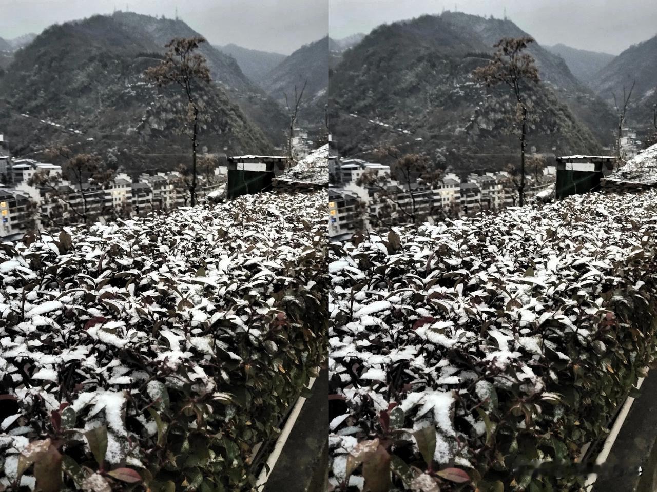 曾以为吃胡萝卜、白菜比其他菜安全，如今看来啥都不安全了。昨天看央视财经频道报道，