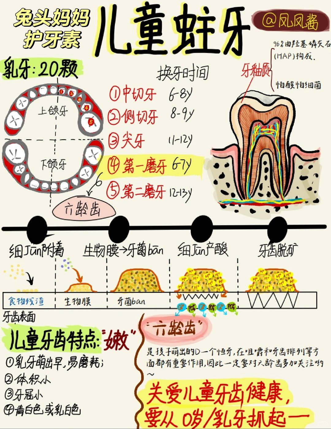 📖 手绘笔记 | 关于儿童蛀牙防和控 建议