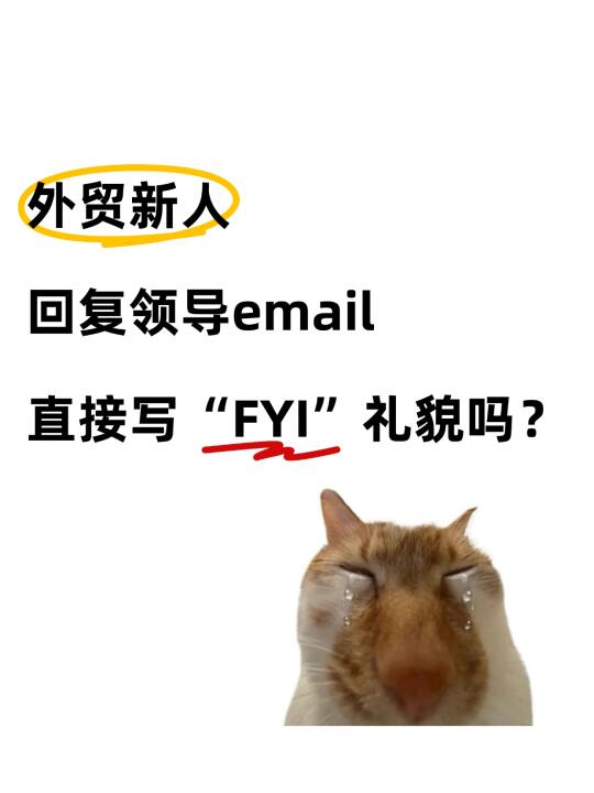 外贸新人给领导回FYI礼貌吗😭
