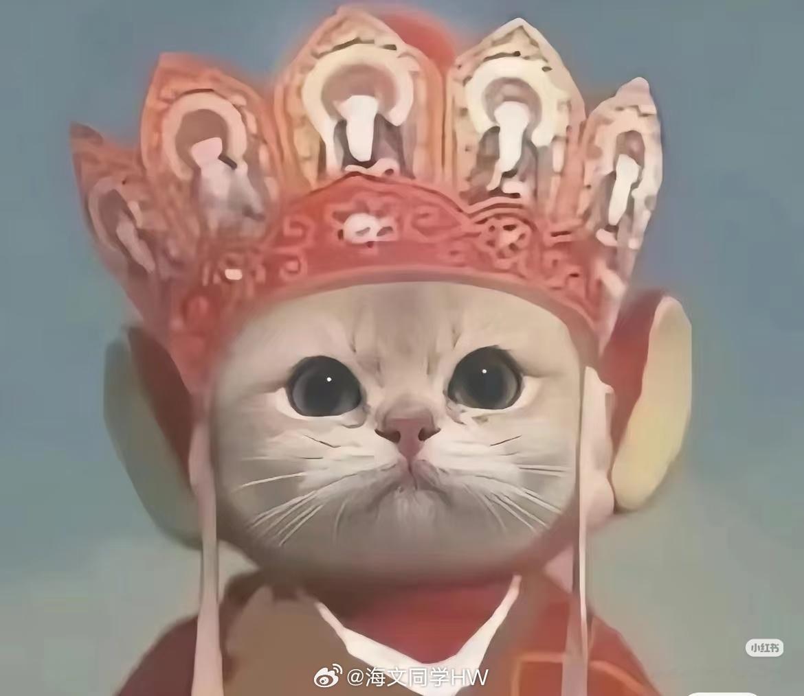 立秋后突然就不热了立秋堪比圣旨  一夜之间热气潮气全没了太神奇了立秋前出去 就跟