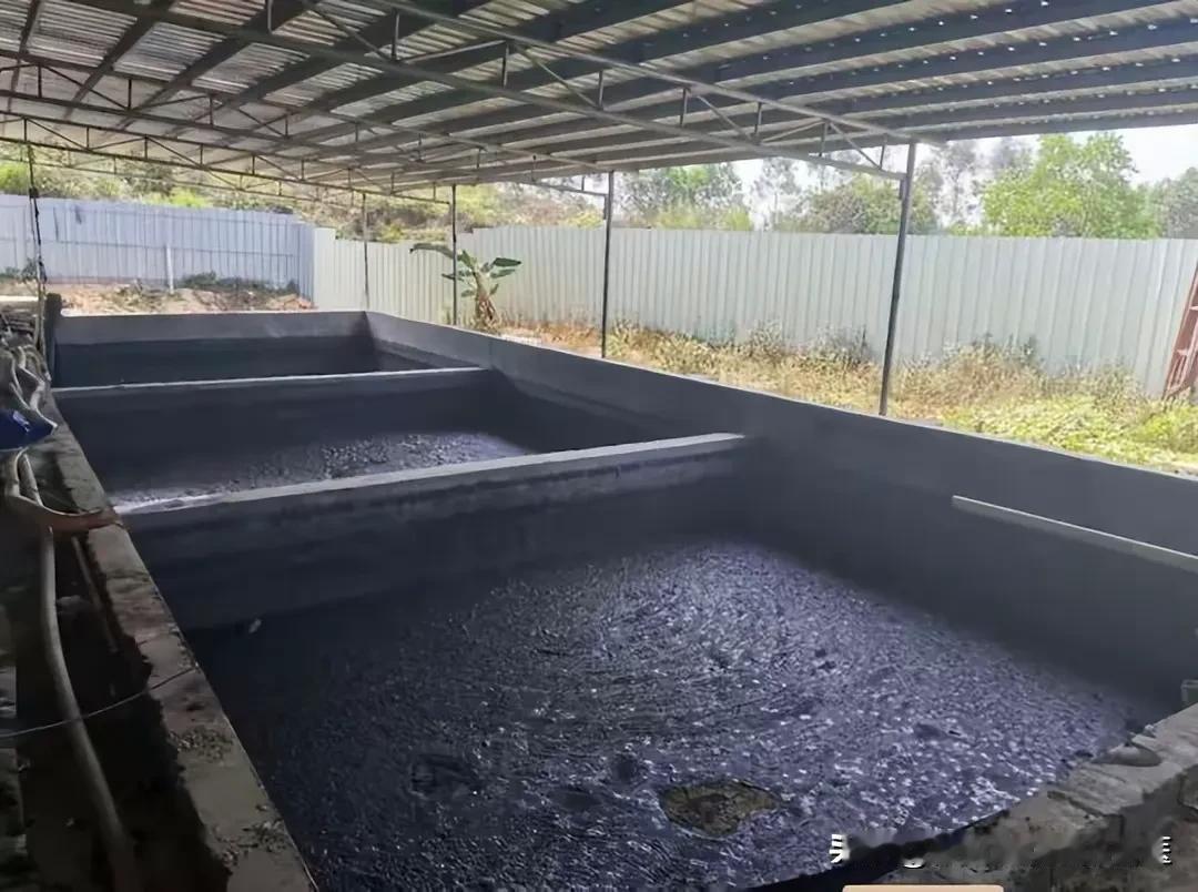 如今环保要求严，养殖废水规范处理是养殖行业必答题，中小型养殖户更是困境重重。环保