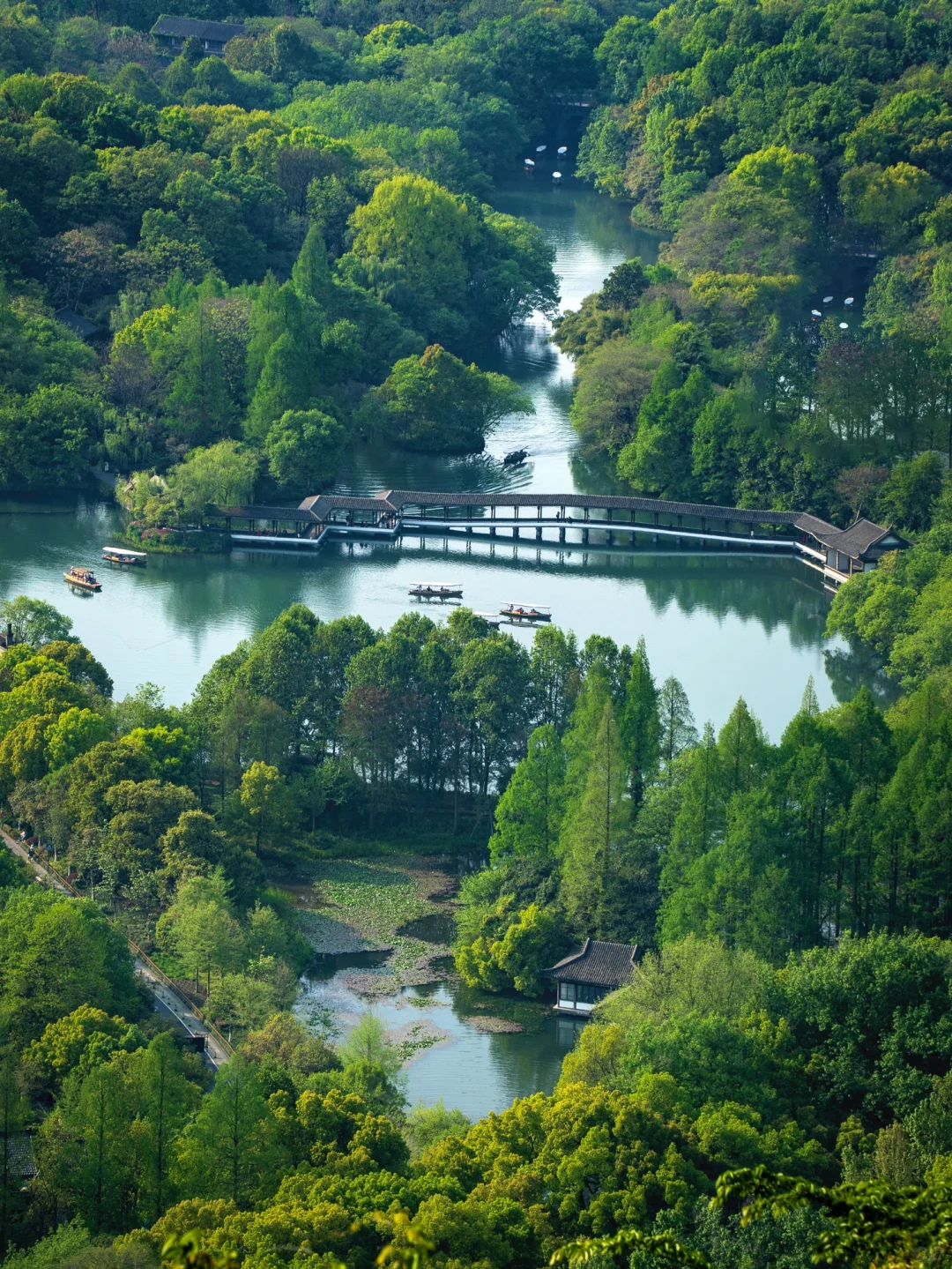 半小时登顶，免费看西湖全景的小众山⛰️
