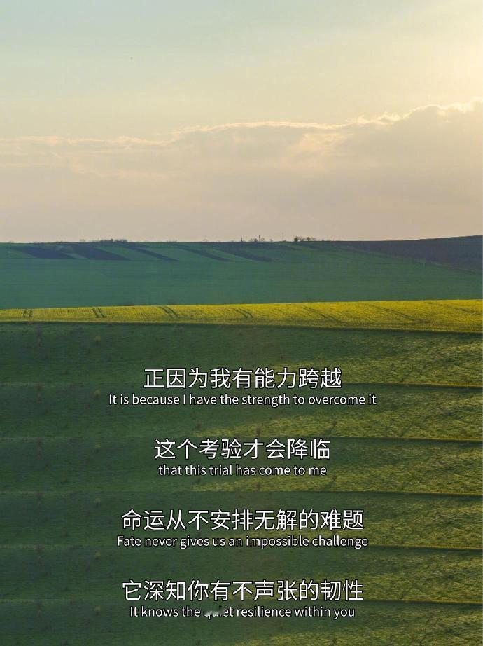 “ 一个人变强的过程：任由痛苦贯穿全身。” ​​​