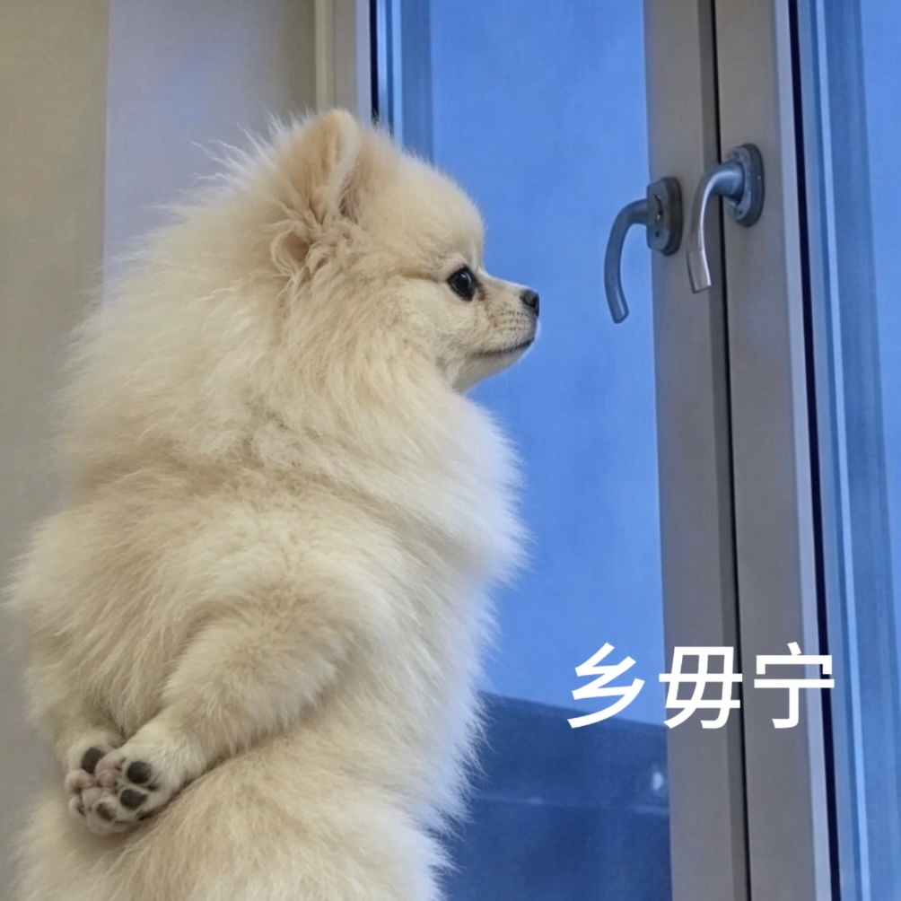 本上海人要代表东方明珠消灭老哥 