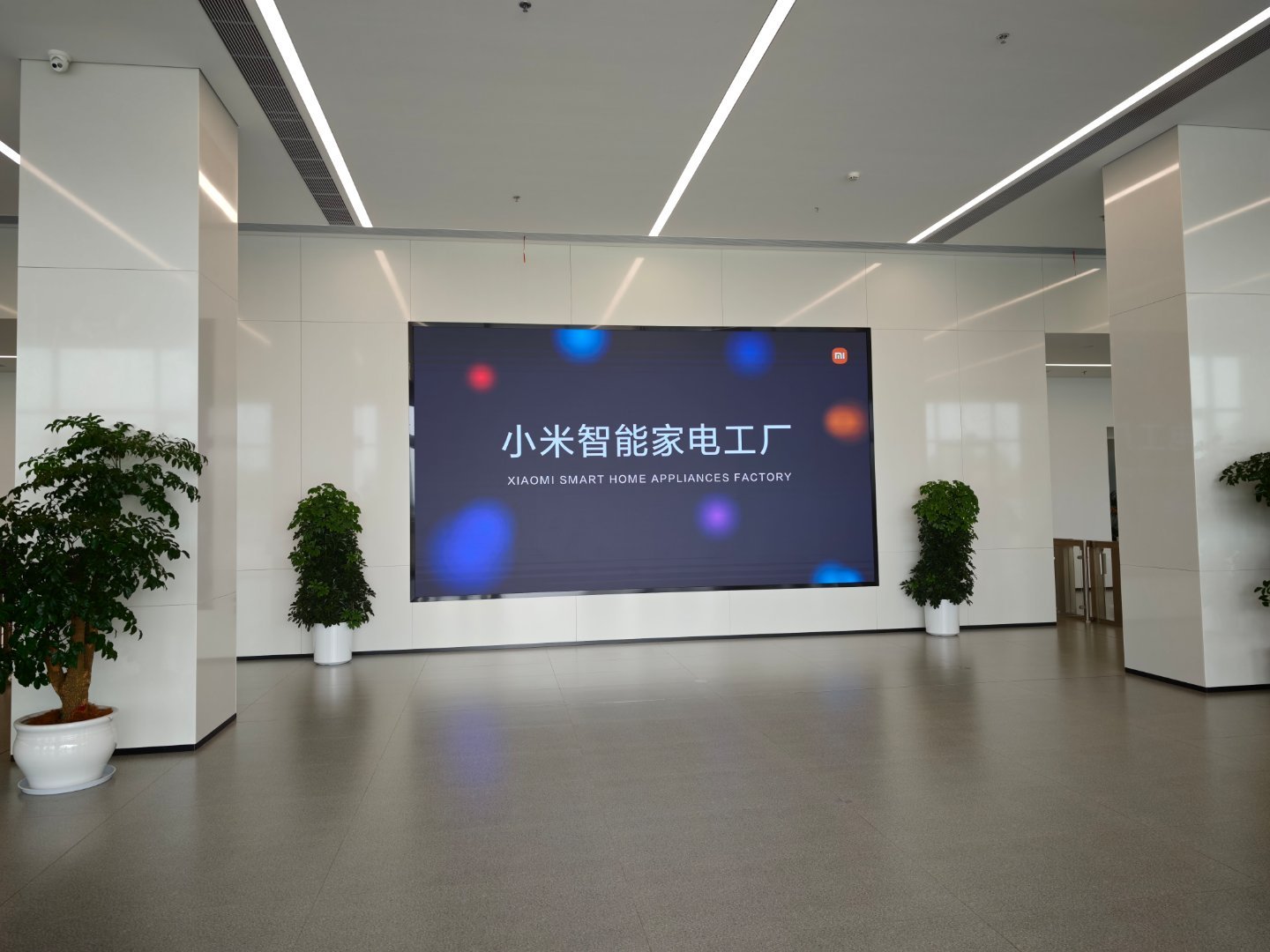 来见见世面 