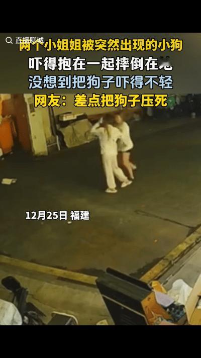 “这是三十六计哪一计！”两个小姐姐在街道上边走边聊天，不料，一只狗子朝她们跑了过