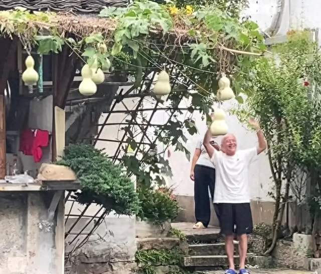 绍兴葫芦爷爷被迫连夜剪掉七个葫芦娃，流量时代请留住该有的宁静
