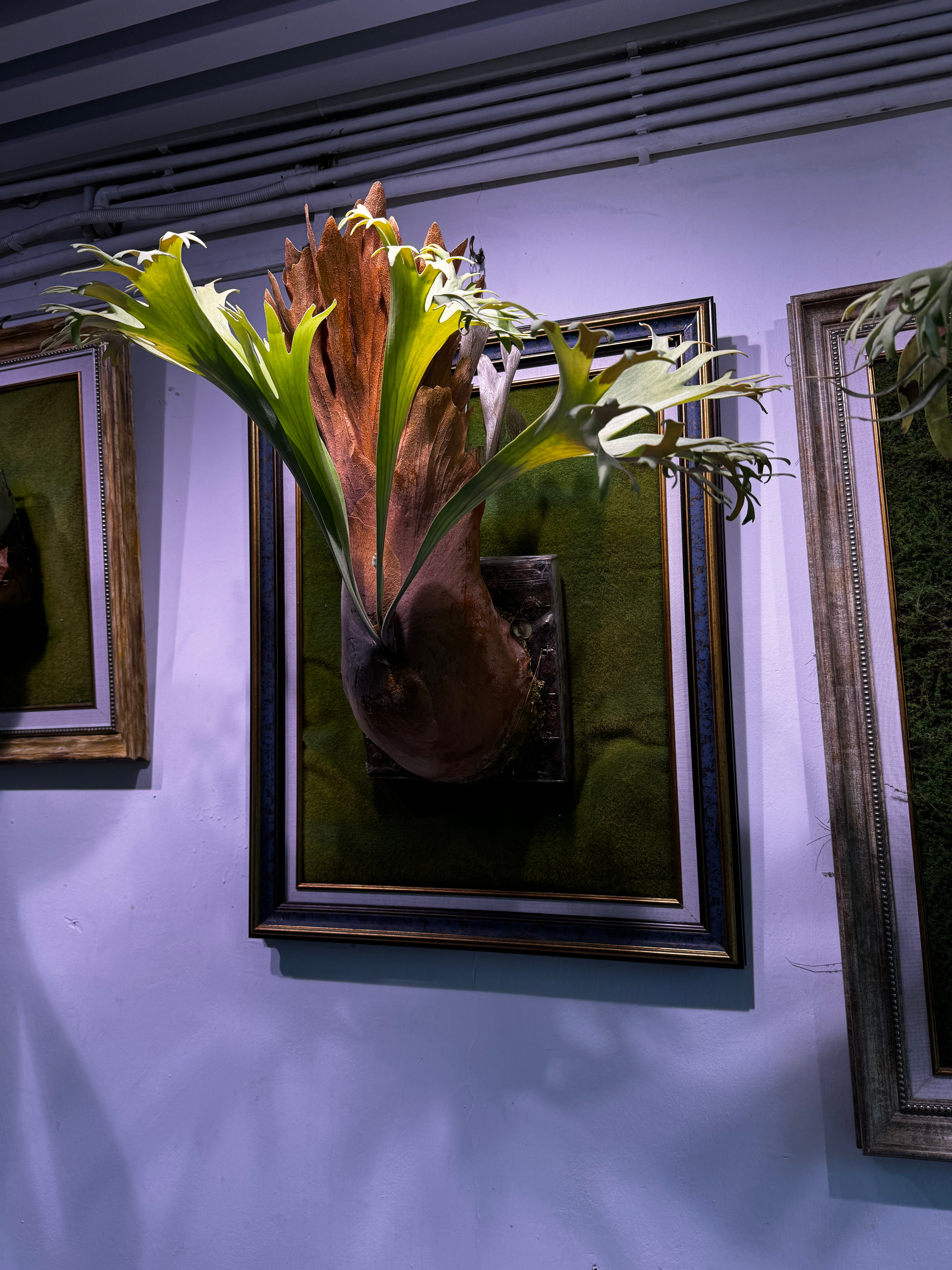 美股低开高走，软件股创出近一年最大单日涨幅；甲骨文大涨12%，汤森路透和奥多比等