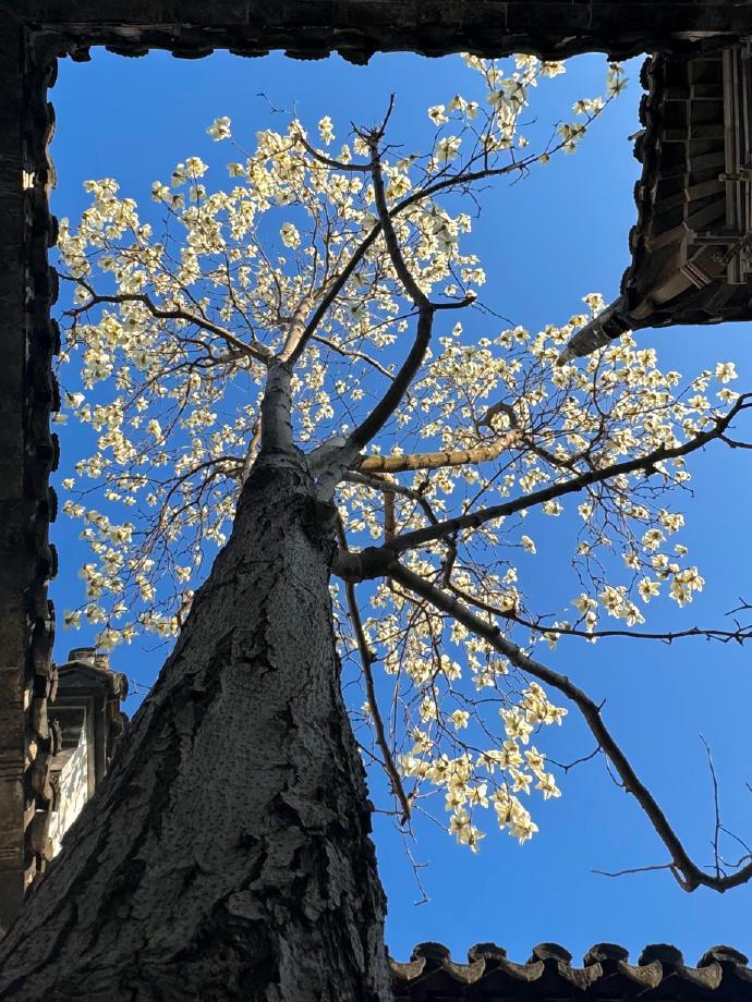 可以用一辈子的15pro👇📷 ​​​
