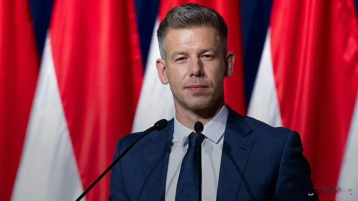 匈牙利当选总理毛焦尔·彼得呼吁欧尔班政府的官员们自愿辞职，包括匈牙利总统、最高法