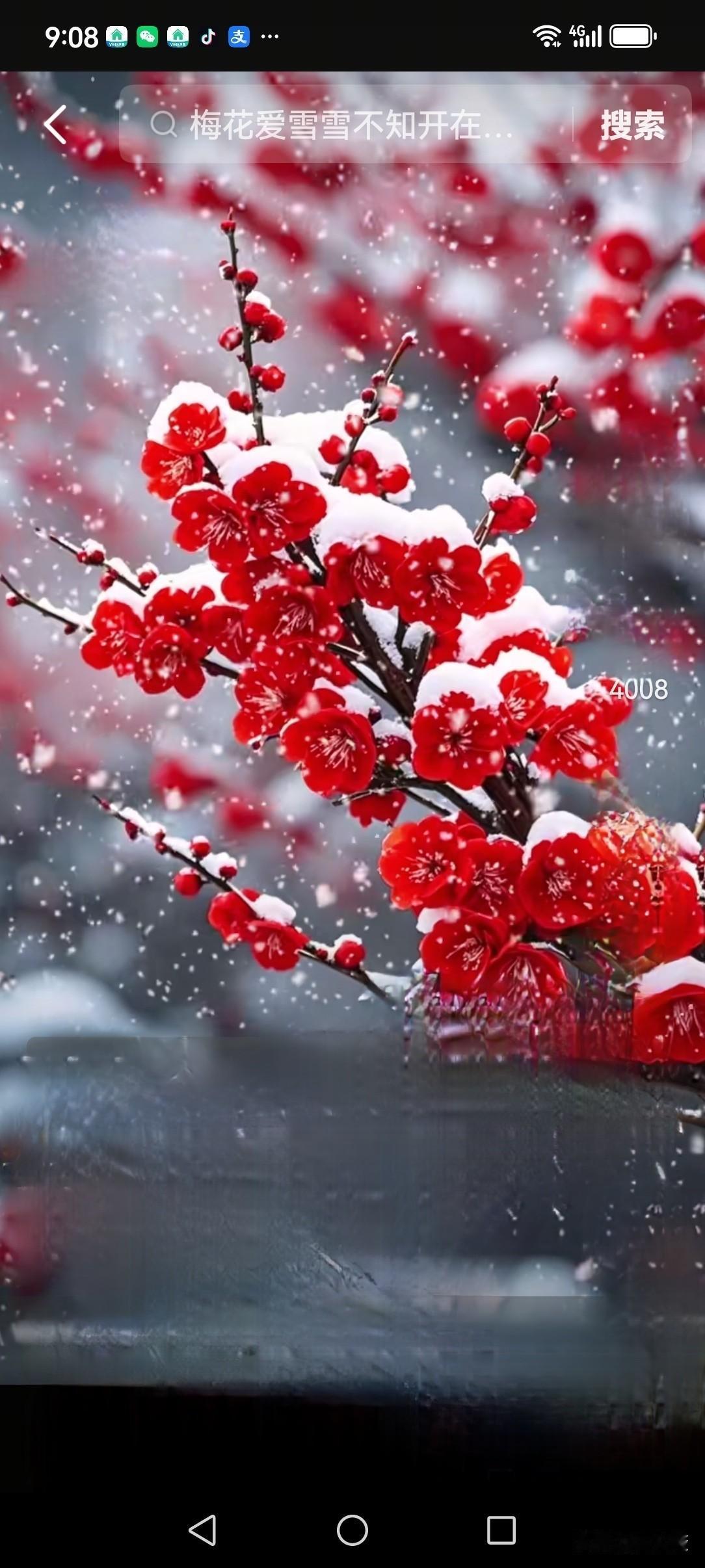 2026年新年就要到来了，新年新气象！在新的一年里，愿全国人民平安快乐健康。让伟