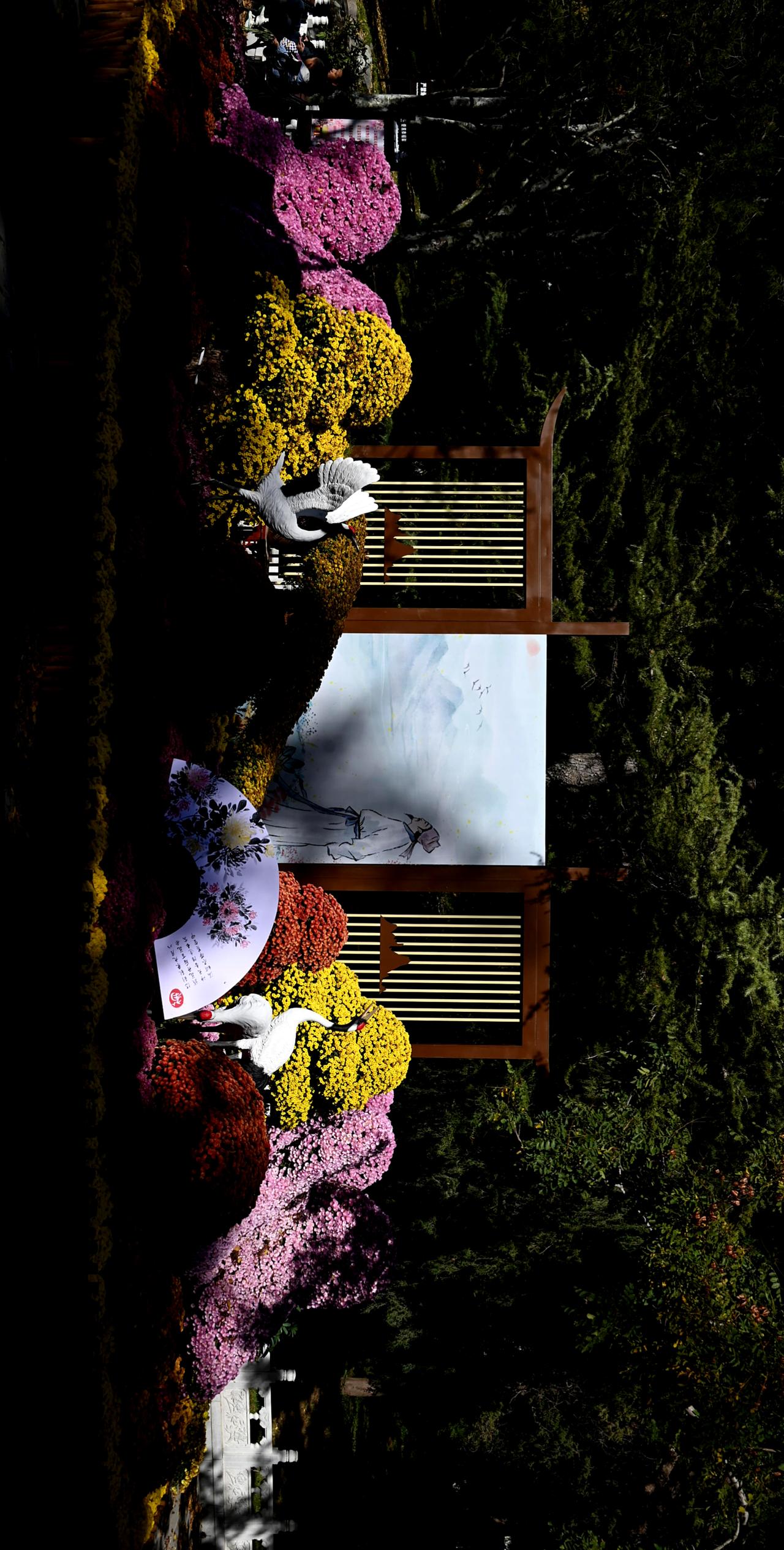 公园小景
