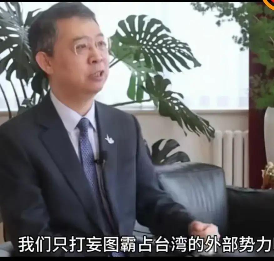 这位专家说得非常有道理！时下有人说，现在世界很乱，中国大陆应该立刻用武力拿下台湾