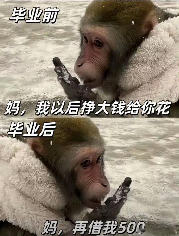 好形象 不过我没画过大饼应该不算吧