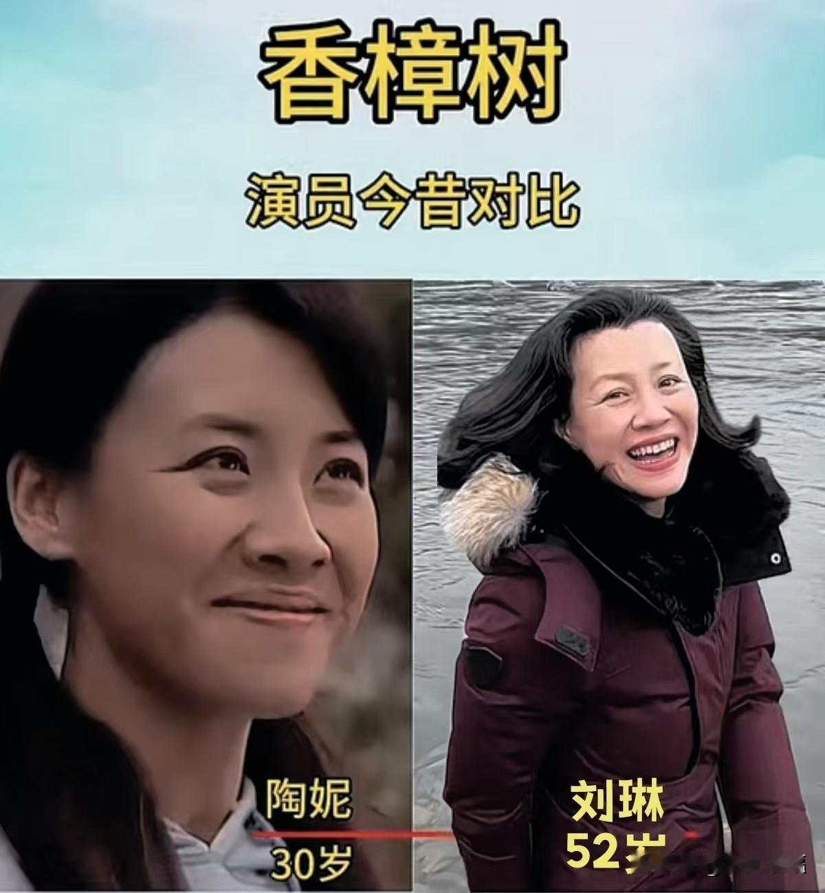 2004年，电视剧《香樟树》播出。这部讲述三个大学女生十年友情的剧，当年感动了无