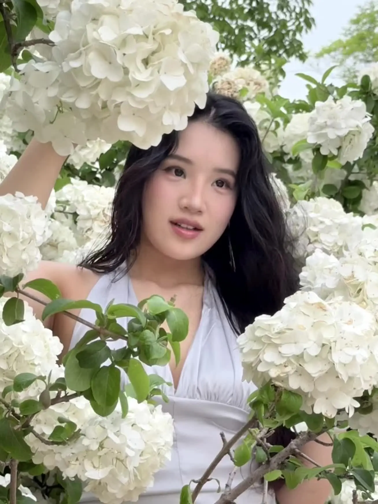 误入花丛中