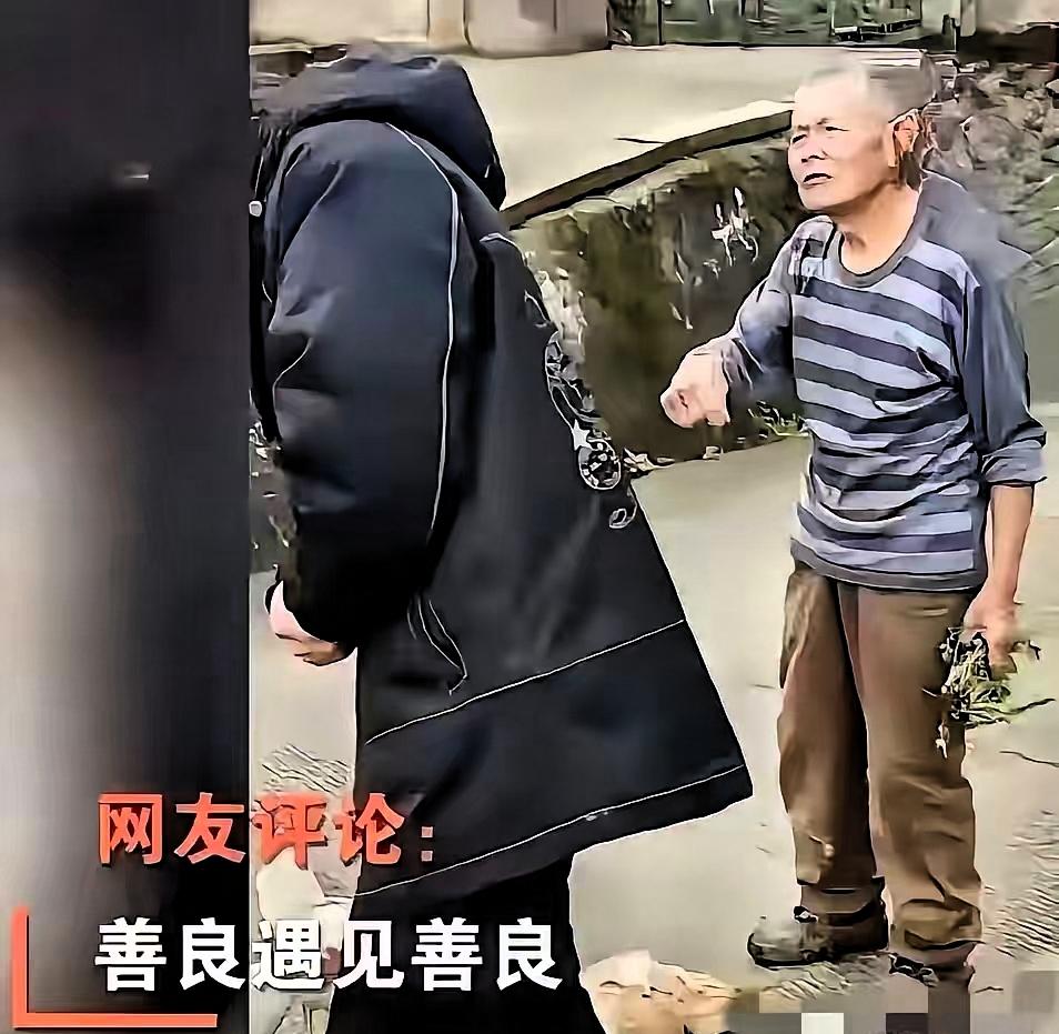 “太感人了！”重庆，一位年轻人下乡办事，不慎将一只鸡压死！可他做梦都没想到，接下