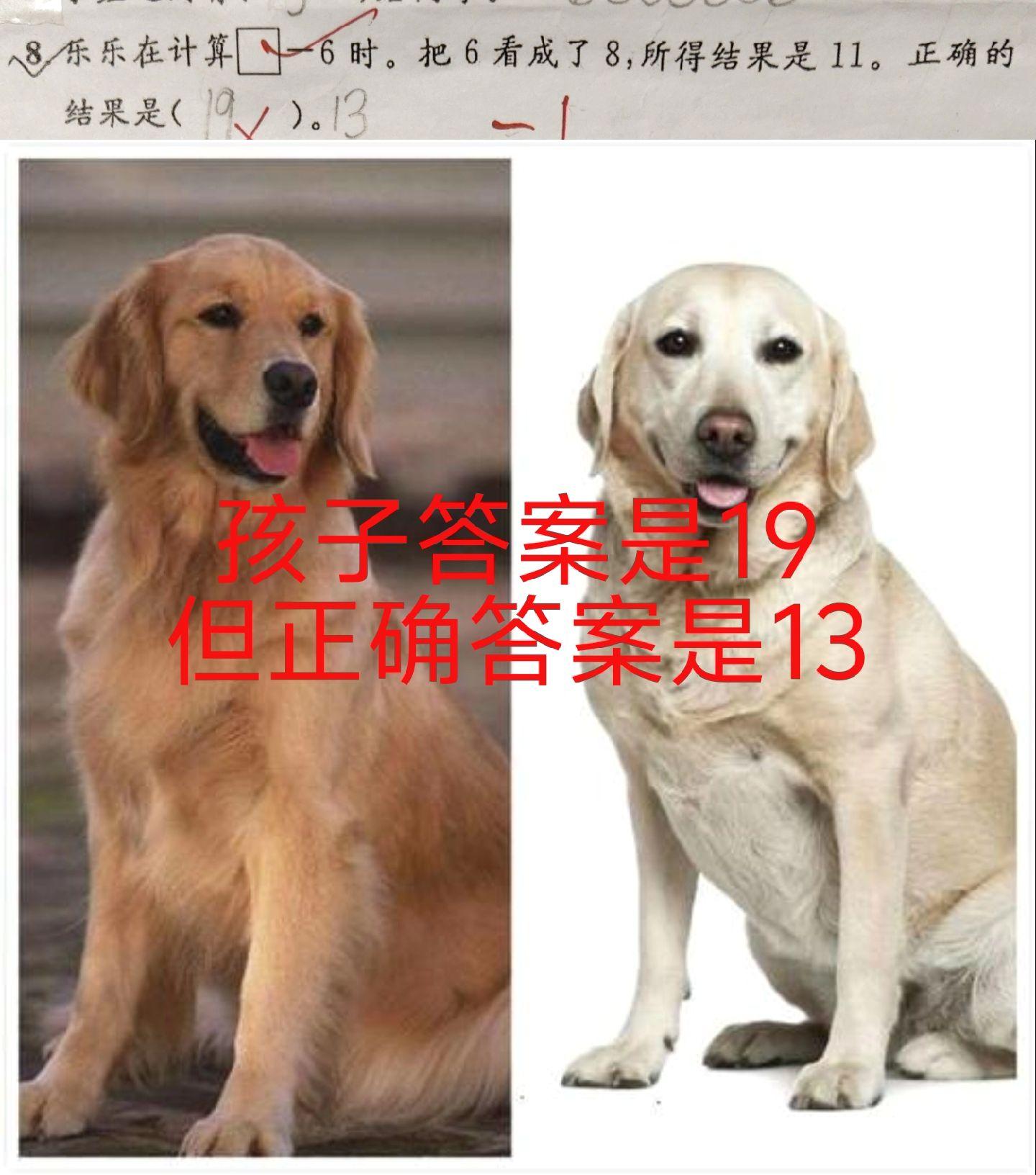 这道题答案到底是多少？孩子选的是19，但正确答案却是13。算了半天我觉...