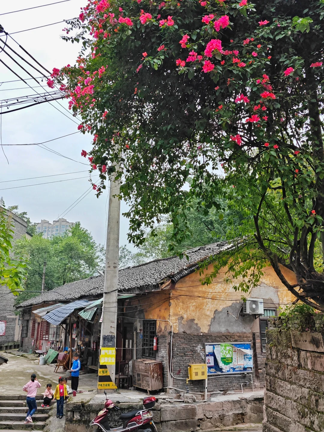 长寿这个老社区很不错(citywalk314)