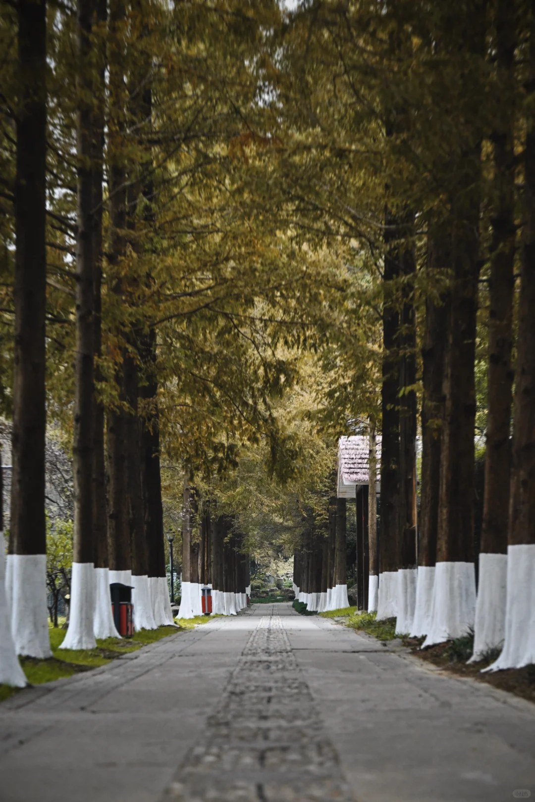 拿起相机 喝杯咖啡